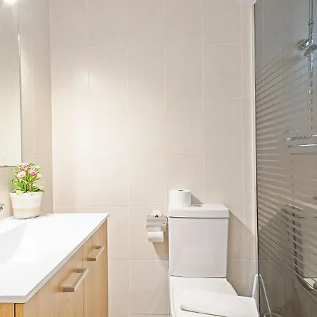 Apartment Sarria Attic *